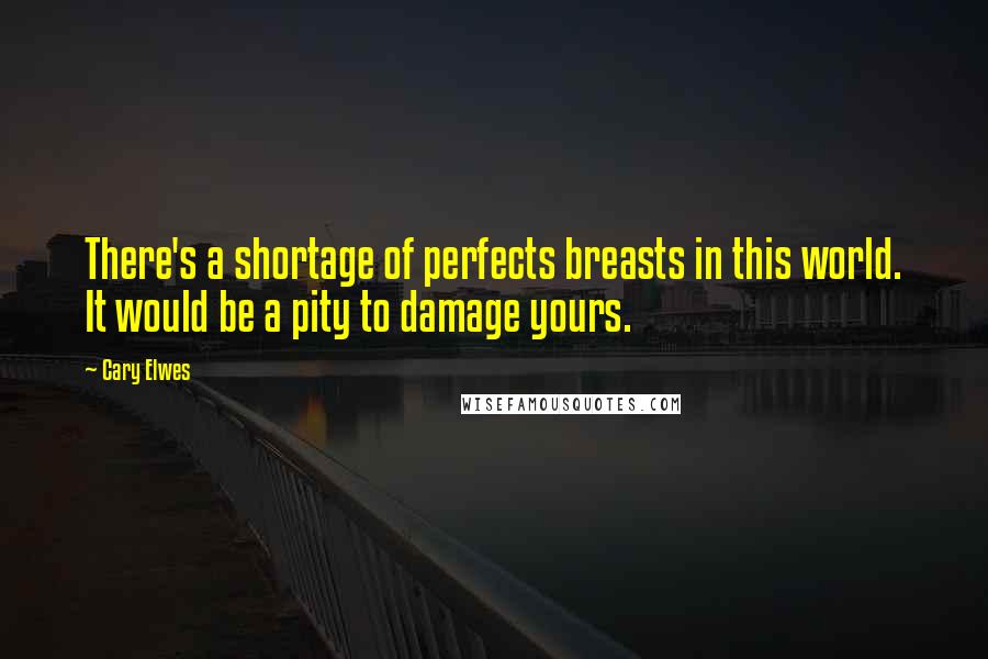 Cary Elwes Quotes: There's a shortage of perfects breasts in this world. It would be a pity to damage yours.