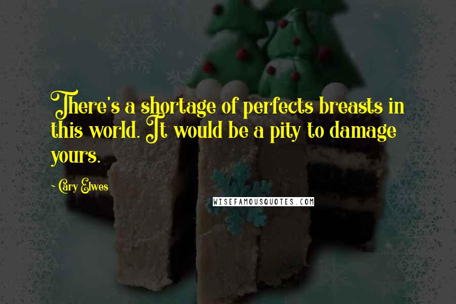 Cary Elwes Quotes: There's a shortage of perfects breasts in this world. It would be a pity to damage yours.