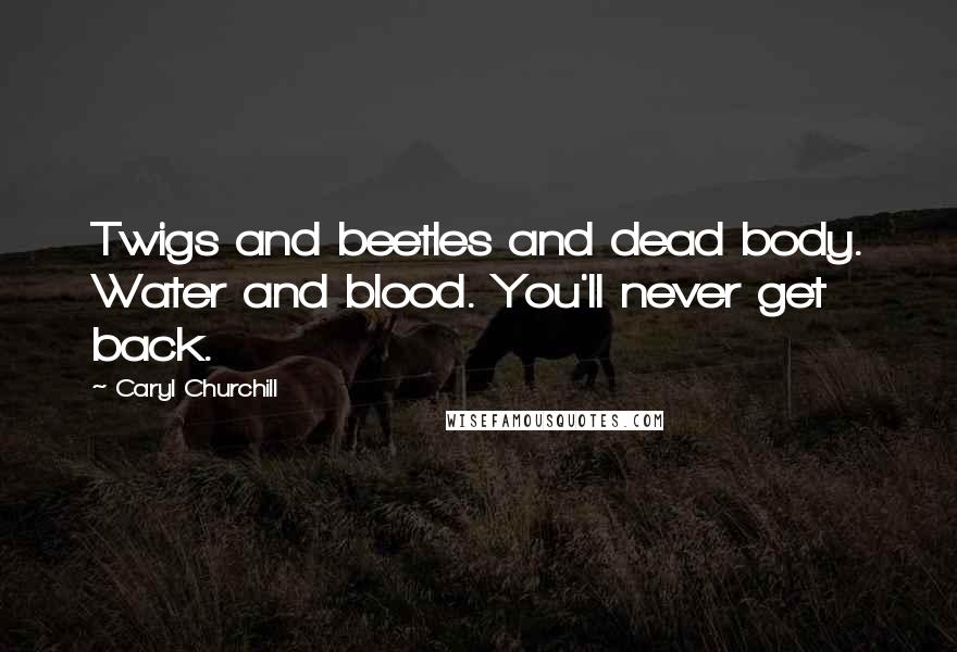 Caryl Churchill Quotes: Twigs and beetles and dead body. Water and blood. You'll never get back.