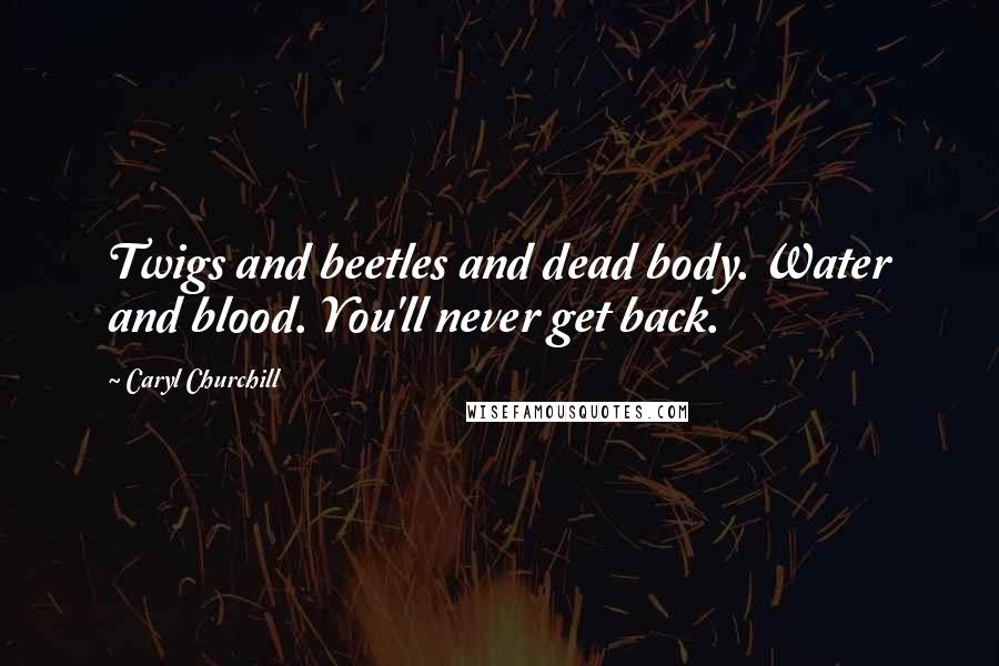 Caryl Churchill Quotes: Twigs and beetles and dead body. Water and blood. You'll never get back.