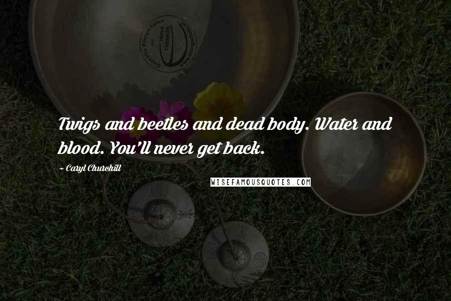 Caryl Churchill Quotes: Twigs and beetles and dead body. Water and blood. You'll never get back.