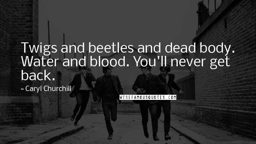 Caryl Churchill Quotes: Twigs and beetles and dead body. Water and blood. You'll never get back.