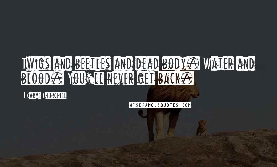 Caryl Churchill Quotes: Twigs and beetles and dead body. Water and blood. You'll never get back.