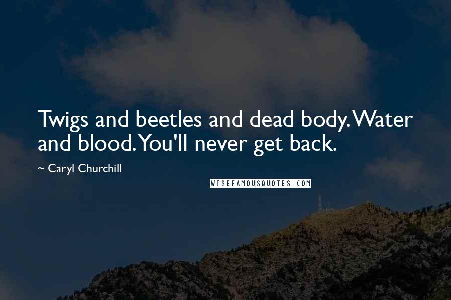 Caryl Churchill Quotes: Twigs and beetles and dead body. Water and blood. You'll never get back.