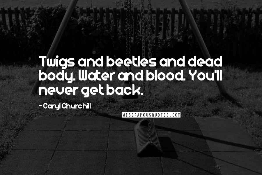 Caryl Churchill Quotes: Twigs and beetles and dead body. Water and blood. You'll never get back.