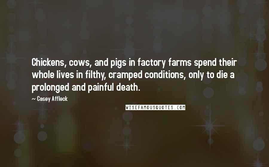 Casey Affleck Quotes: Chickens, cows, and pigs in factory farms spend their whole lives in filthy, cramped conditions, only to die a prolonged and painful death.