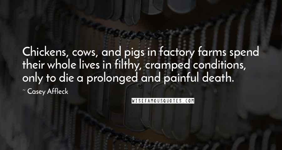 Casey Affleck Quotes: Chickens, cows, and pigs in factory farms spend their whole lives in filthy, cramped conditions, only to die a prolonged and painful death.