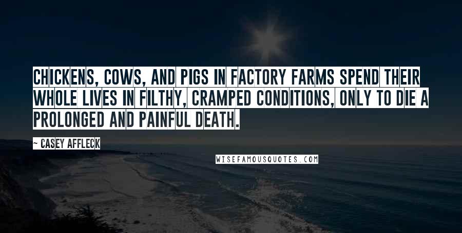 Casey Affleck Quotes: Chickens, cows, and pigs in factory farms spend their whole lives in filthy, cramped conditions, only to die a prolonged and painful death.