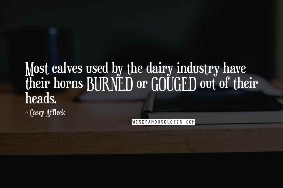 Casey Affleck Quotes: Most calves used by the dairy industry have their horns BURNED or GOUGED out of their heads.