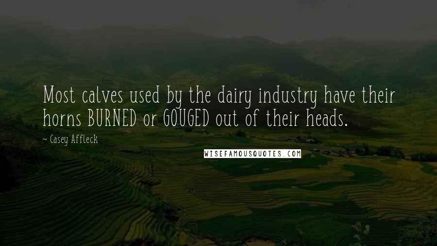 Casey Affleck Quotes: Most calves used by the dairy industry have their horns BURNED or GOUGED out of their heads.
