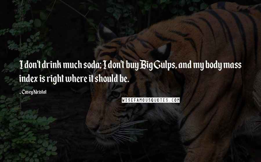 Casey Neistat Quotes: I don't drink much soda; I don't buy Big Gulps, and my body mass index is right where it should be.