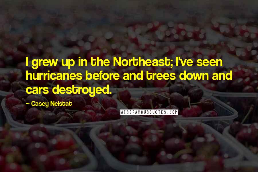 Casey Neistat Quotes: I grew up in the Northeast; I've seen hurricanes before and trees down and cars destroyed.