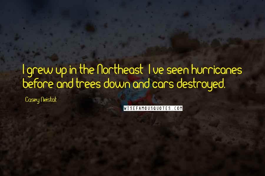 Casey Neistat Quotes: I grew up in the Northeast; I've seen hurricanes before and trees down and cars destroyed.