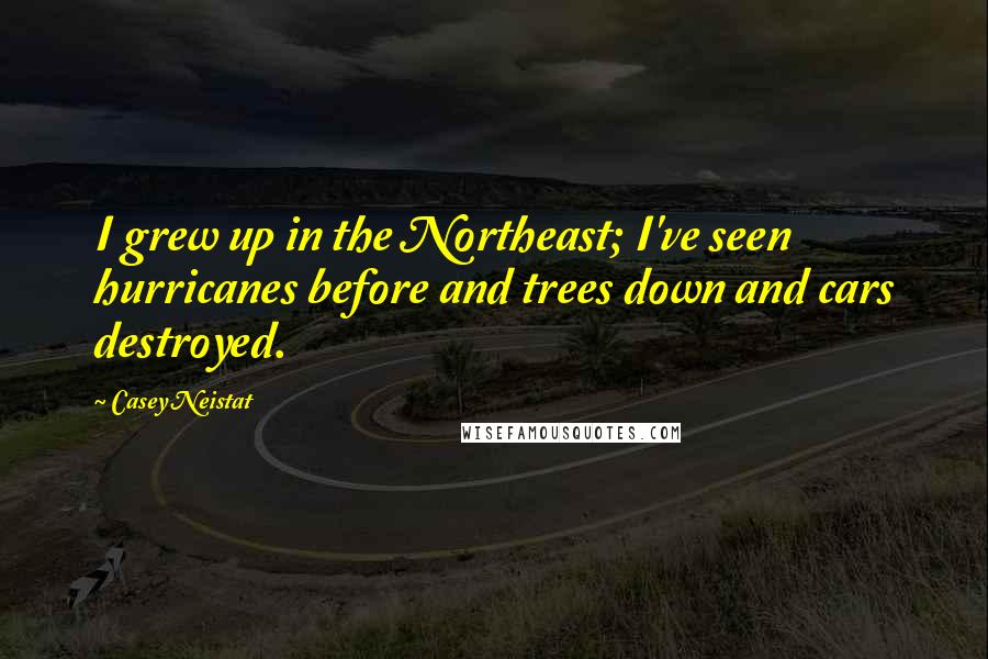 Casey Neistat Quotes: I grew up in the Northeast; I've seen hurricanes before and trees down and cars destroyed.