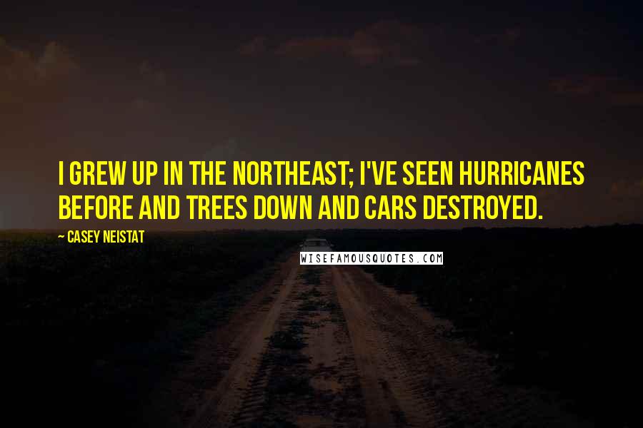 Casey Neistat Quotes: I grew up in the Northeast; I've seen hurricanes before and trees down and cars destroyed.