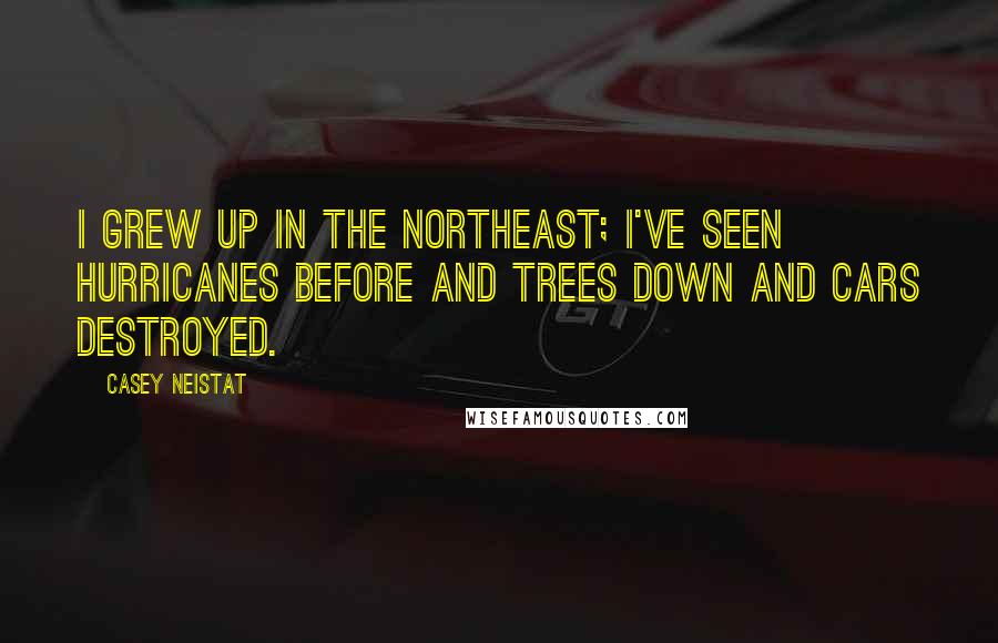 Casey Neistat Quotes: I grew up in the Northeast; I've seen hurricanes before and trees down and cars destroyed.