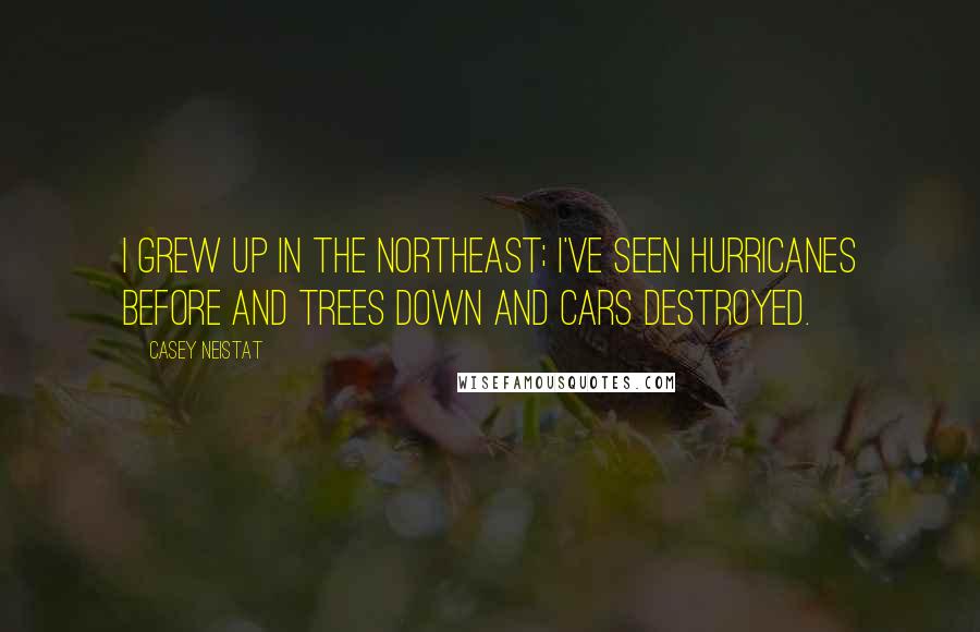 Casey Neistat Quotes: I grew up in the Northeast; I've seen hurricanes before and trees down and cars destroyed.