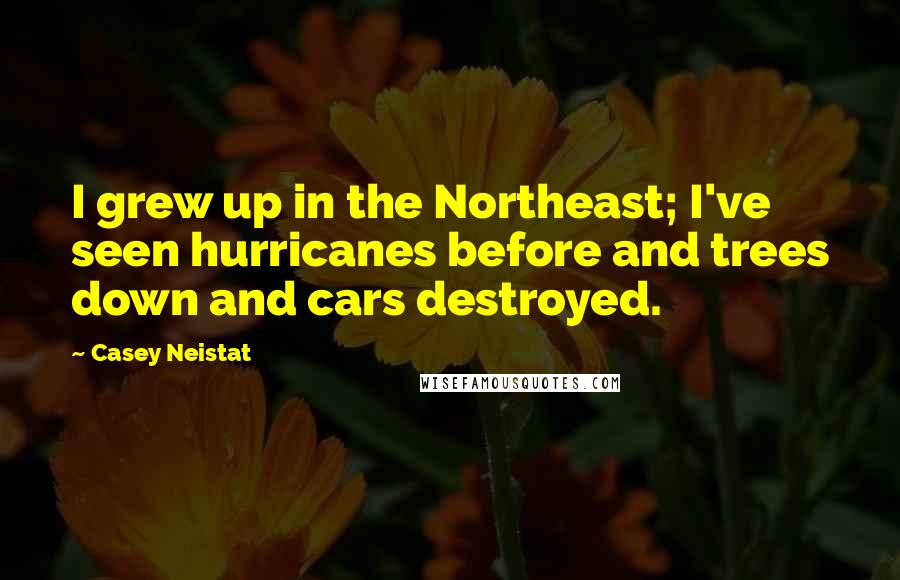 Casey Neistat Quotes: I grew up in the Northeast; I've seen hurricanes before and trees down and cars destroyed.