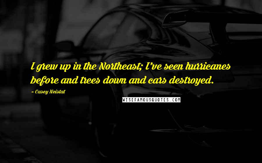 Casey Neistat Quotes: I grew up in the Northeast; I've seen hurricanes before and trees down and cars destroyed.
