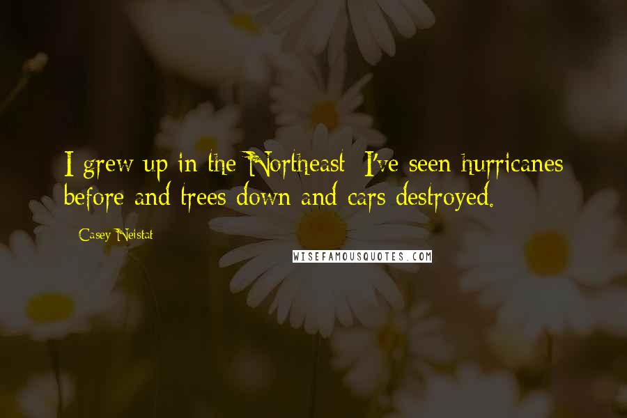 Casey Neistat Quotes: I grew up in the Northeast; I've seen hurricanes before and trees down and cars destroyed.