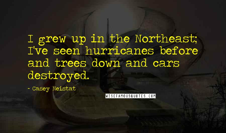 Casey Neistat Quotes: I grew up in the Northeast; I've seen hurricanes before and trees down and cars destroyed.