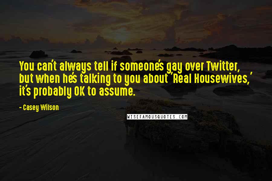 Casey Wilson Quotes: You can't always tell if someone's gay over Twitter, but when he's talking to you about 'Real Housewives,' it's probably OK to assume.