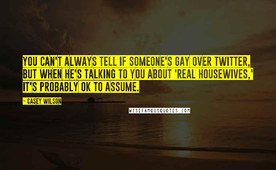 Casey Wilson Quotes: You can't always tell if someone's gay over Twitter, but when he's talking to you about 'Real Housewives,' it's probably OK to assume.