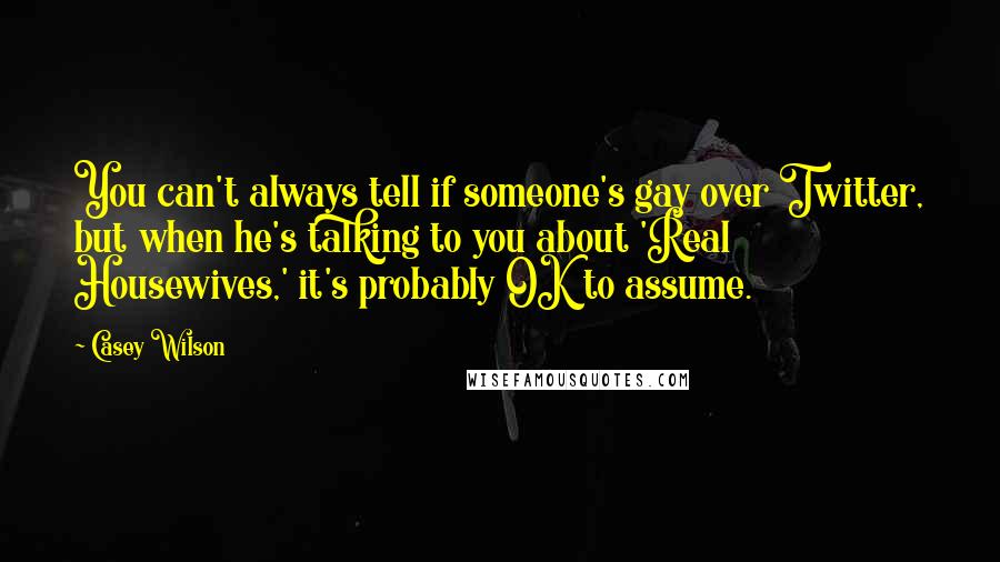 Casey Wilson Quotes: You can't always tell if someone's gay over Twitter, but when he's talking to you about 'Real Housewives,' it's probably OK to assume.