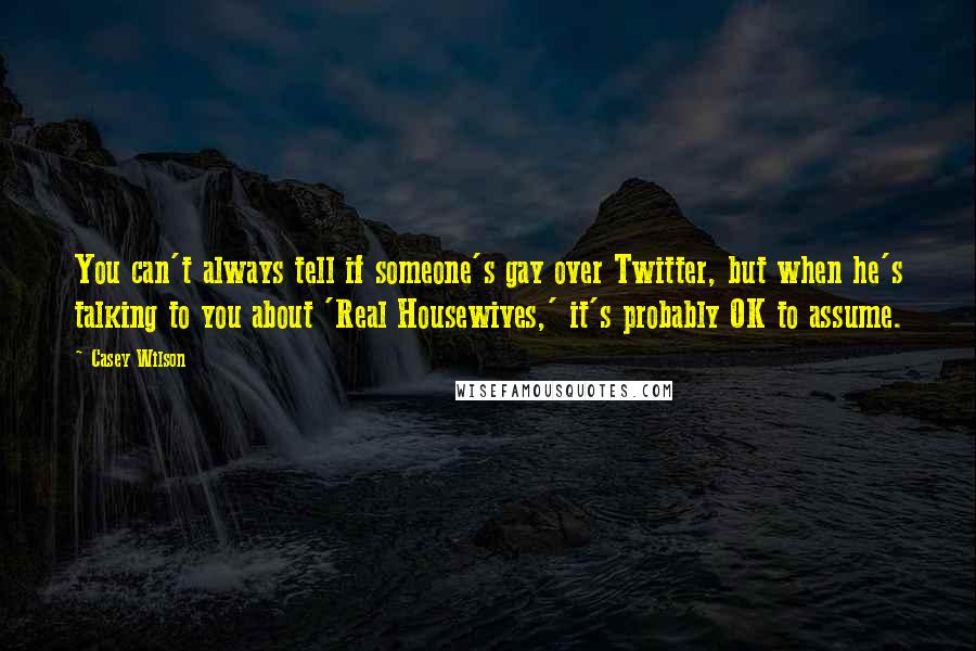 Casey Wilson Quotes: You can't always tell if someone's gay over Twitter, but when he's talking to you about 'Real Housewives,' it's probably OK to assume.