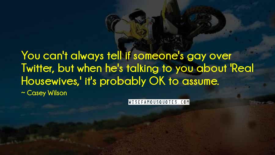 Casey Wilson Quotes: You can't always tell if someone's gay over Twitter, but when he's talking to you about 'Real Housewives,' it's probably OK to assume.