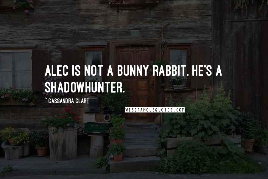 Cassandra Clare Quotes: Alec is not a bunny rabbit. He's a shadowhunter.