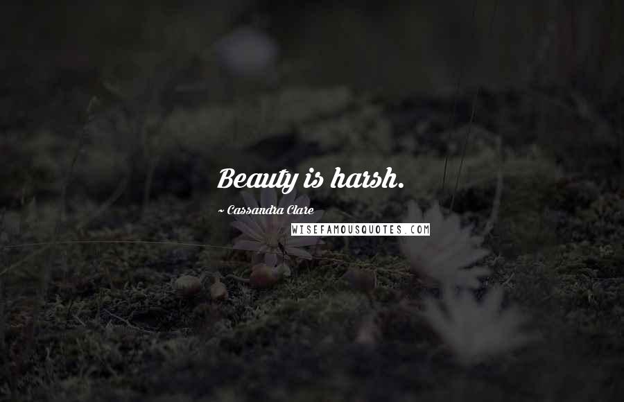 Cassandra Clare Quotes: Beauty is harsh.