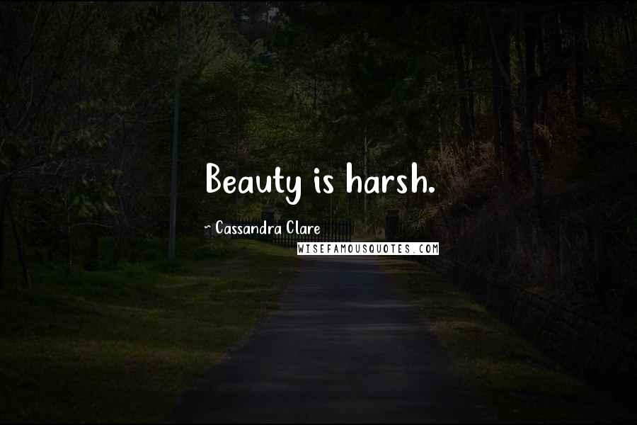 Cassandra Clare Quotes: Beauty is harsh.