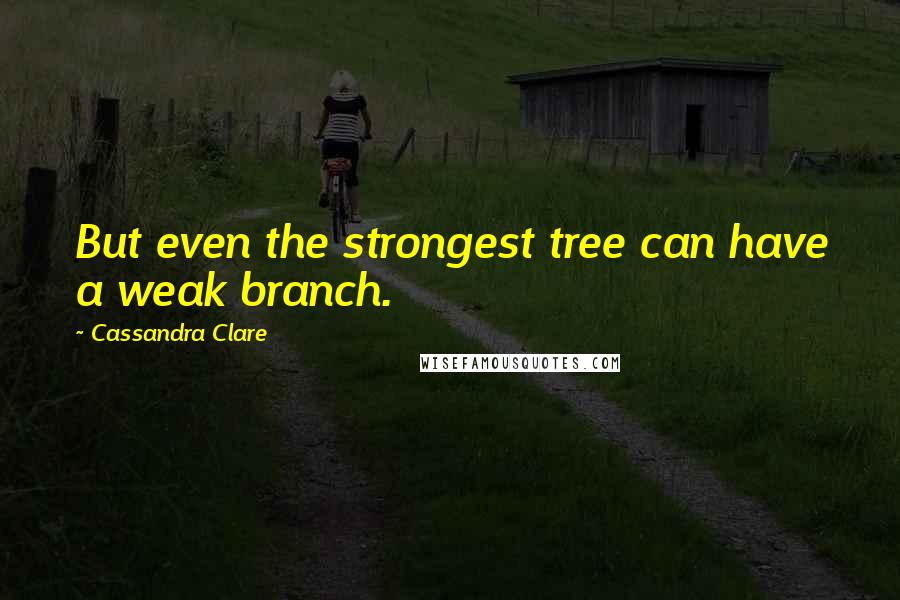 Cassandra Clare Quotes: But even the strongest tree can have a weak branch.