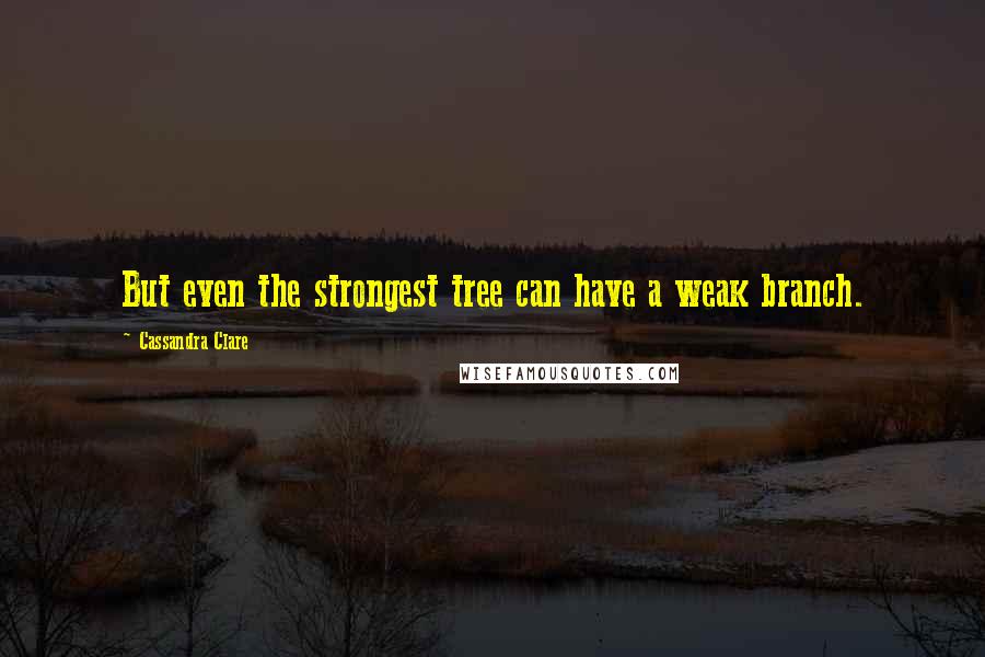 Cassandra Clare Quotes: But even the strongest tree can have a weak branch.