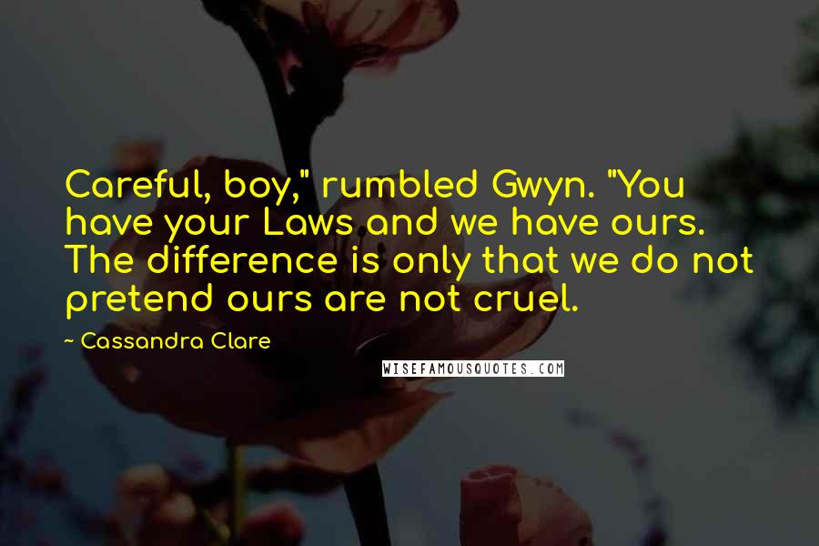 Cassandra Clare Quotes: Careful, boy," rumbled Gwyn. "You have your Laws and we have ours. The difference is only that we do not pretend ours are not cruel.