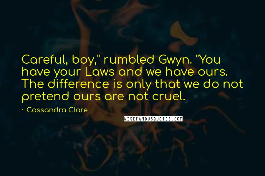 Cassandra Clare Quotes: Careful, boy," rumbled Gwyn. "You have your Laws and we have ours. The difference is only that we do not pretend ours are not cruel.