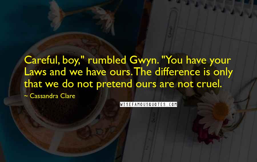 Cassandra Clare Quotes: Careful, boy," rumbled Gwyn. "You have your Laws and we have ours. The difference is only that we do not pretend ours are not cruel.