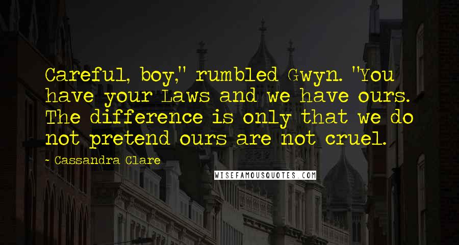 Cassandra Clare Quotes: Careful, boy," rumbled Gwyn. "You have your Laws and we have ours. The difference is only that we do not pretend ours are not cruel.