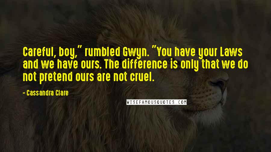 Cassandra Clare Quotes: Careful, boy," rumbled Gwyn. "You have your Laws and we have ours. The difference is only that we do not pretend ours are not cruel.