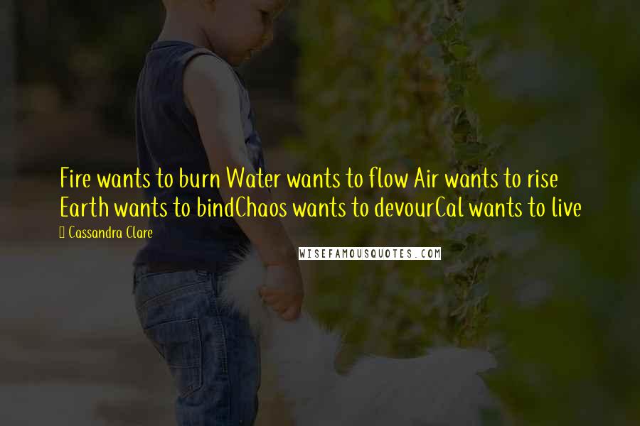 Cassandra Clare Quotes: Fire wants to burn Water wants to flow Air wants to rise Earth wants to bindChaos wants to devourCal wants to live