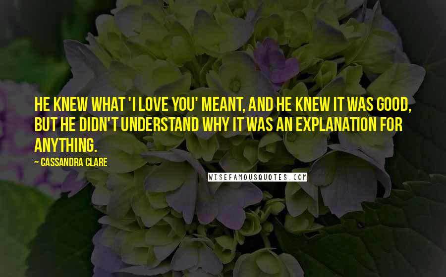 Cassandra Clare Quotes: He knew what 'I love you' meant, and he knew it was good, but he didn't understand why it was an explanation for anything.