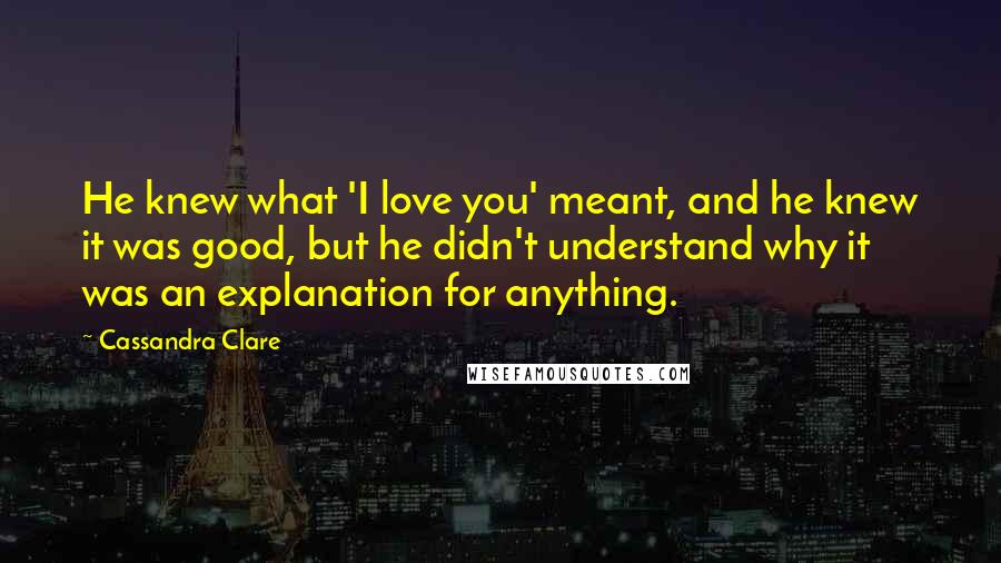 Cassandra Clare Quotes: He knew what 'I love you' meant, and he knew it was good, but he didn't understand why it was an explanation for anything.