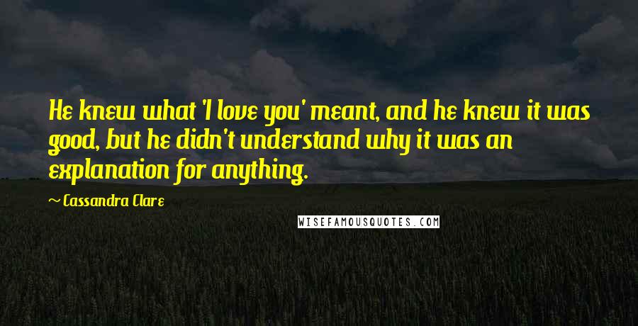 Cassandra Clare Quotes: He knew what 'I love you' meant, and he knew it was good, but he didn't understand why it was an explanation for anything.