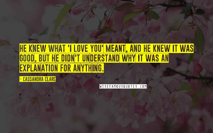 Cassandra Clare Quotes: He knew what 'I love you' meant, and he knew it was good, but he didn't understand why it was an explanation for anything.