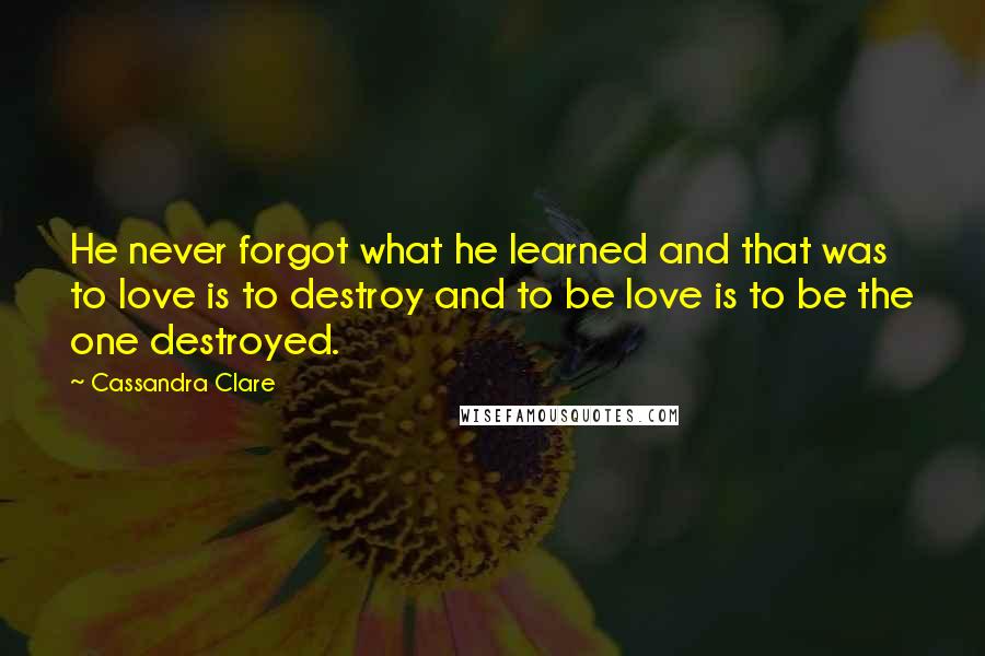 Cassandra Clare Quotes: He never forgot what he learned and that was to love is to destroy and to be love is to be the one destroyed.