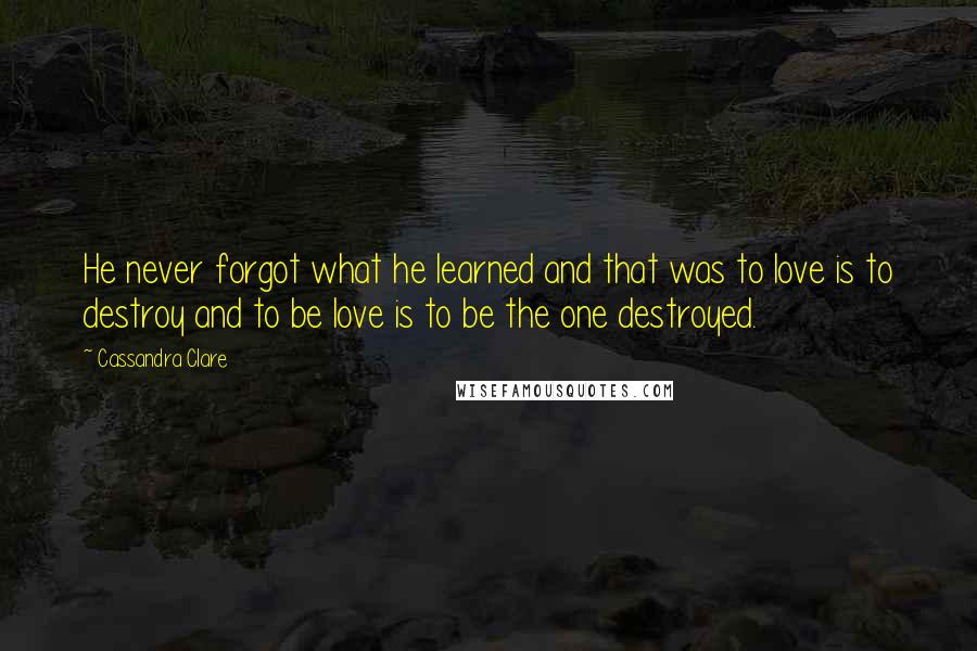 Cassandra Clare Quotes: He never forgot what he learned and that was to love is to destroy and to be love is to be the one destroyed.