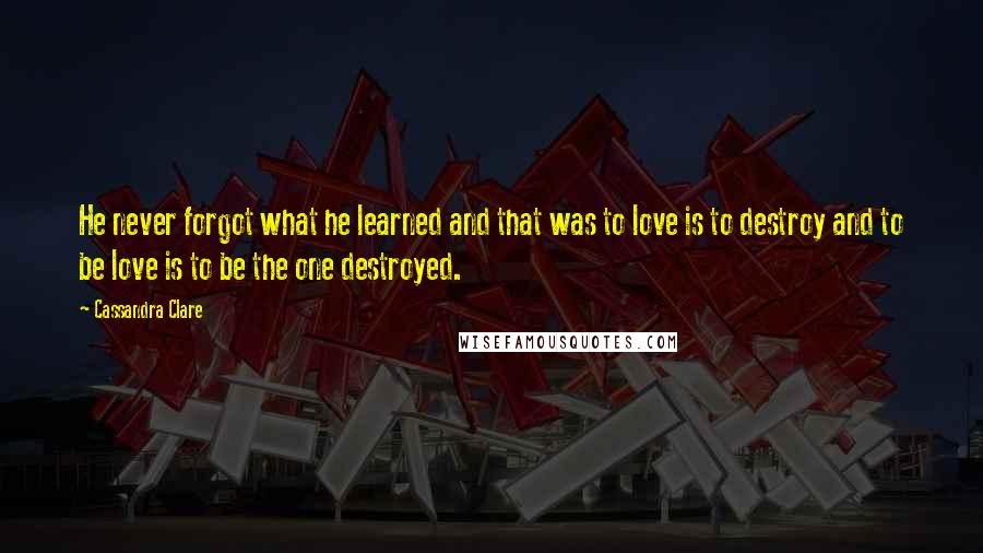 Cassandra Clare Quotes: He never forgot what he learned and that was to love is to destroy and to be love is to be the one destroyed.