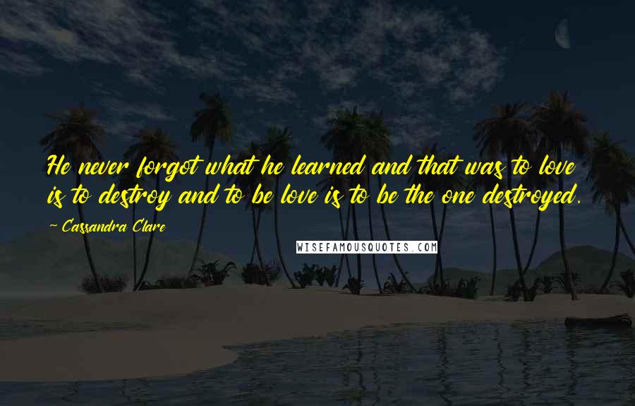 Cassandra Clare Quotes: He never forgot what he learned and that was to love is to destroy and to be love is to be the one destroyed.