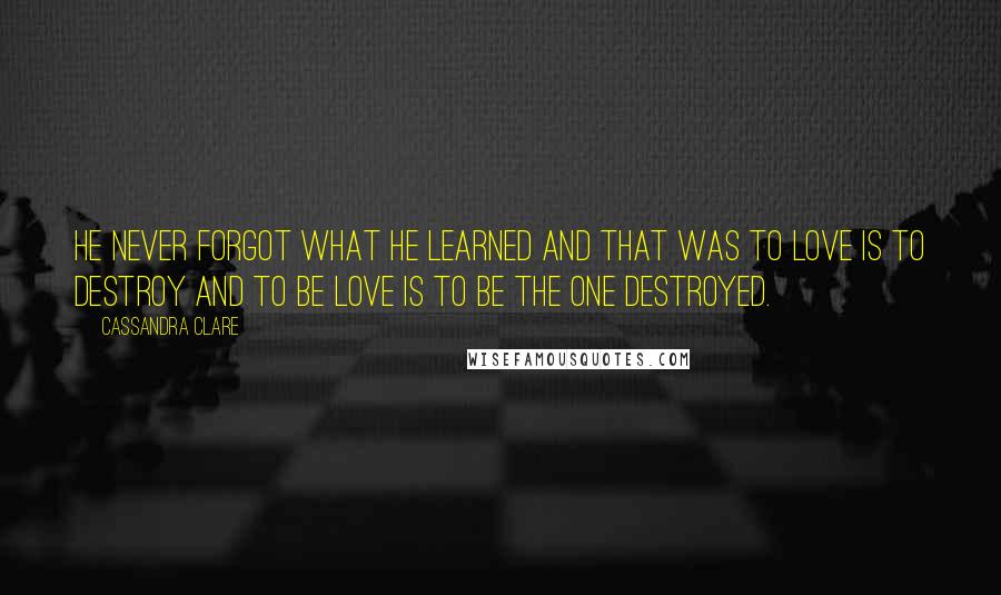 Cassandra Clare Quotes: He never forgot what he learned and that was to love is to destroy and to be love is to be the one destroyed.